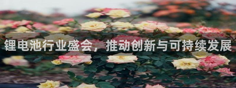 尊龙官方