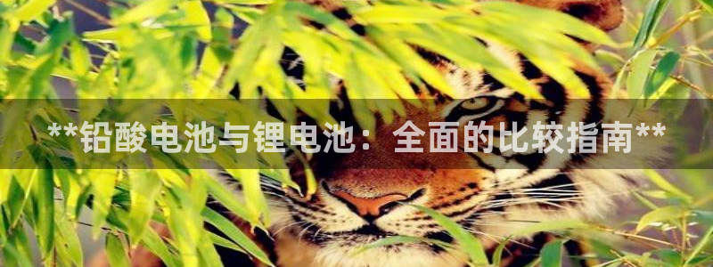 尊龙凯时台子
