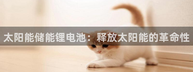 d88尊龙z6