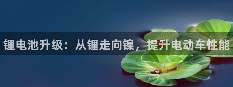 尊龙凯时网站是什么地方人开的