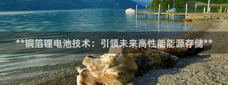 尊龙凯时家居是品牌吗