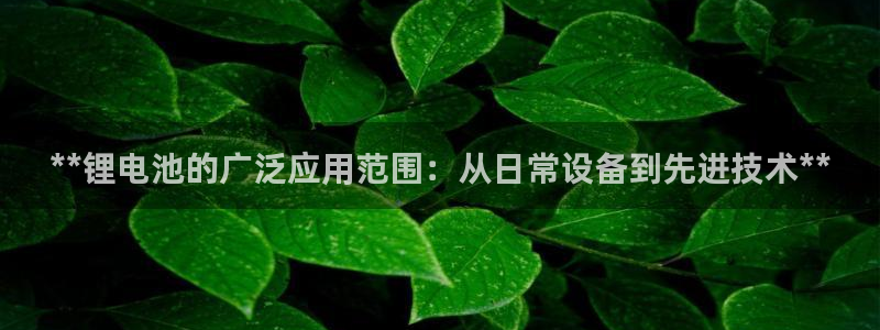 尊龙凯时法拉币