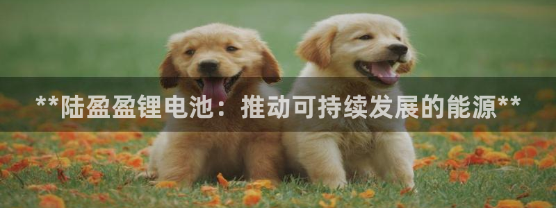 尊龙凯时是不是合法
