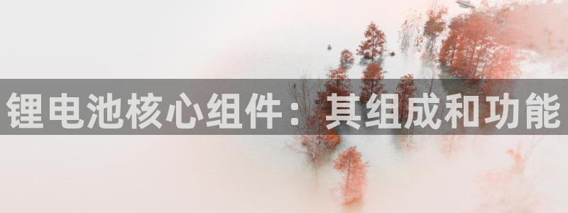 尊龙服饰品牌介绍