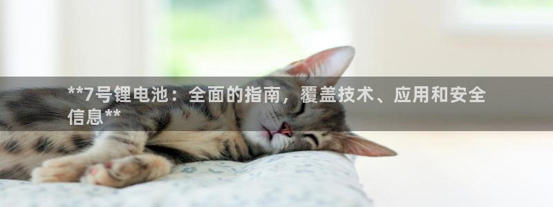 尊龙凯时一人生就是博官网