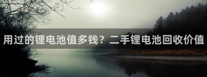 尊龙官网国际