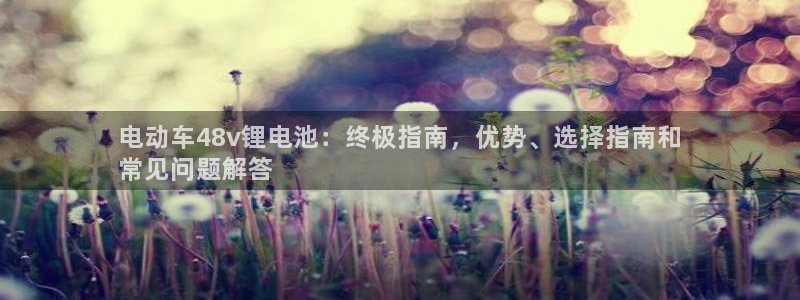尊龙凯时开发