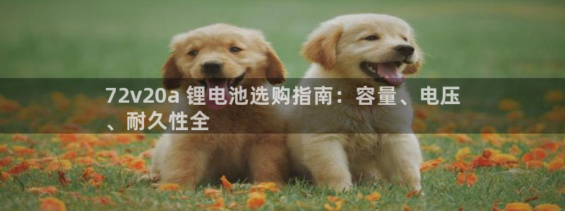 AG尊龙登陆网址