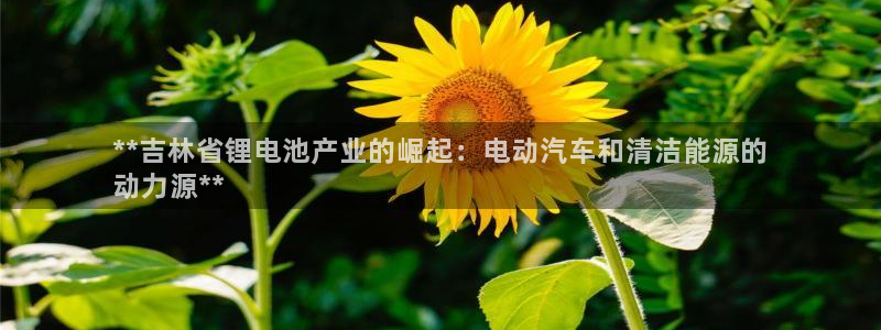 凯时app官方首页