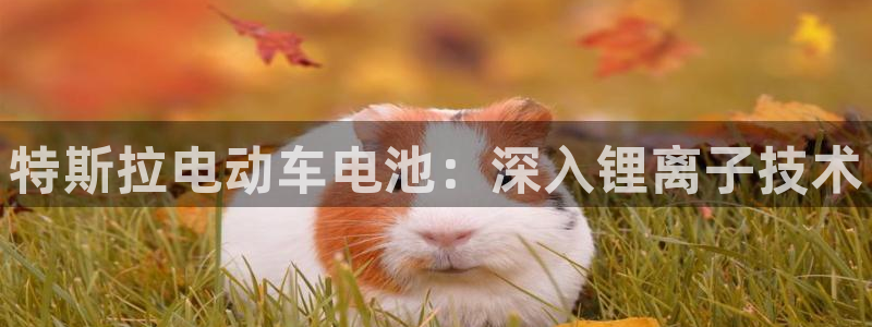 尊龙官网下载