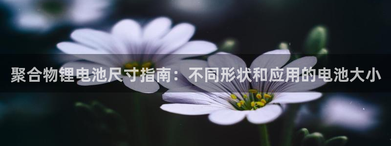 尊龙z6集团
