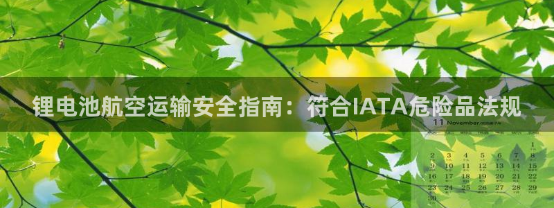 旧版尊龙人生就是博下载
