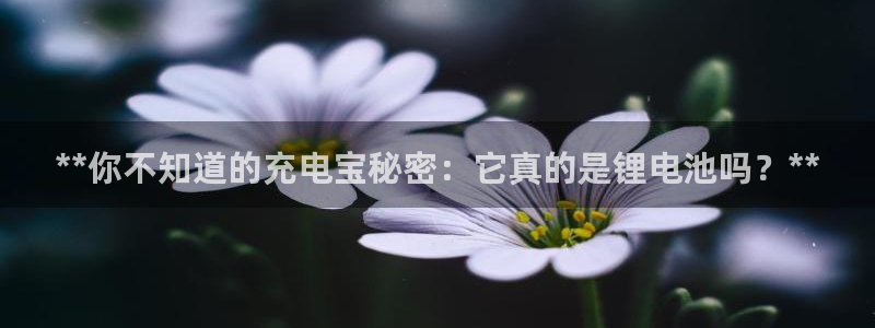 ZL尊龙凯时集团