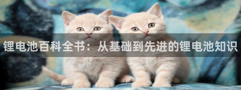 尊龙凯时官网