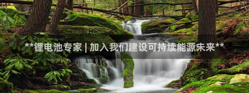 尊龙凯时只输不赢