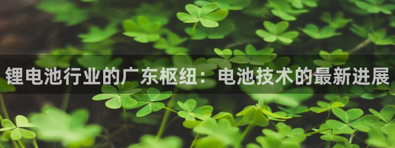 尊龙人生就要博旧版