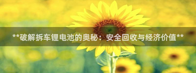 尊龙信息科技有限公司
