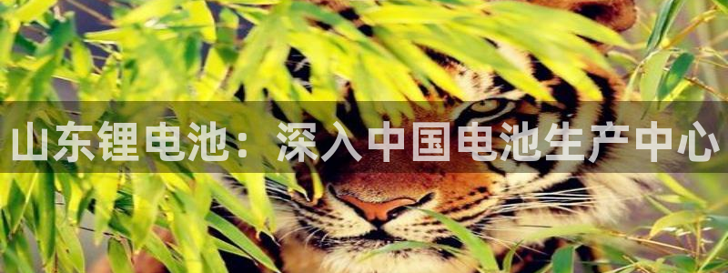 尊龙d88现金关注ag发财网：山东锂电池