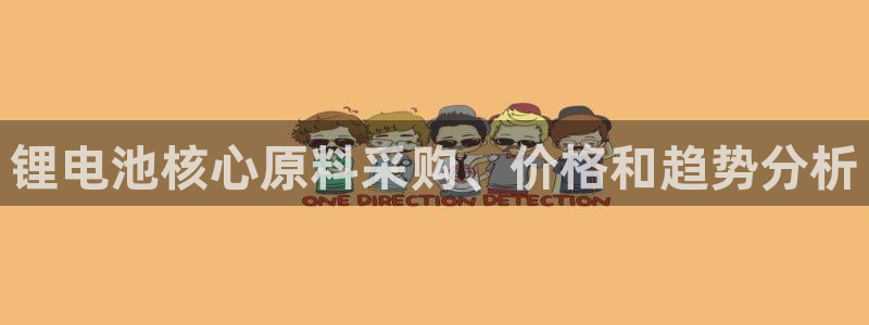 AG尊龙注册在线游戏：锂电池核心原料采购