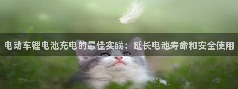 尊龙凯时请求参数不符合