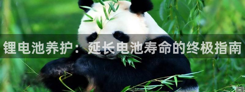 尊龙凯时是正规平台吗