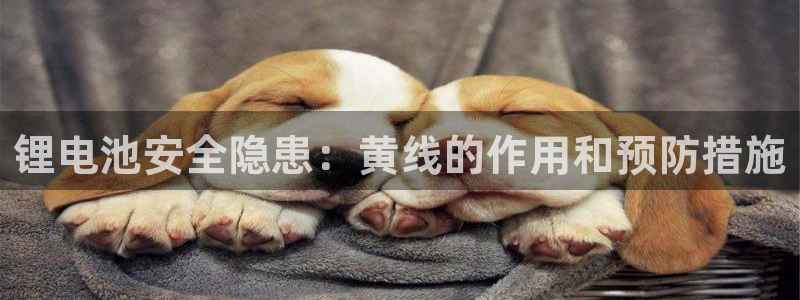 凯时尊龙app国际官方网站