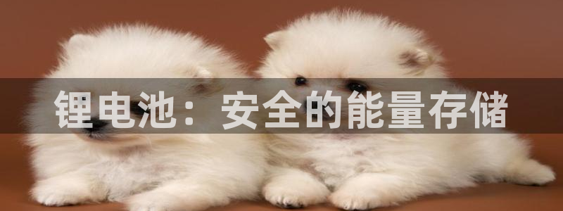 凯时官网app下载官方网站