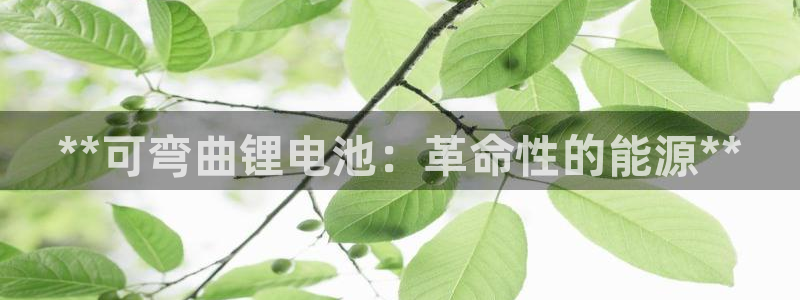 尊龙实业有限公司