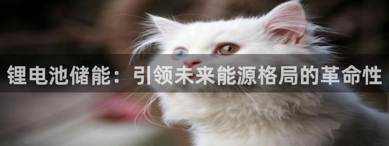 尊龙凯时代理能提出来不
