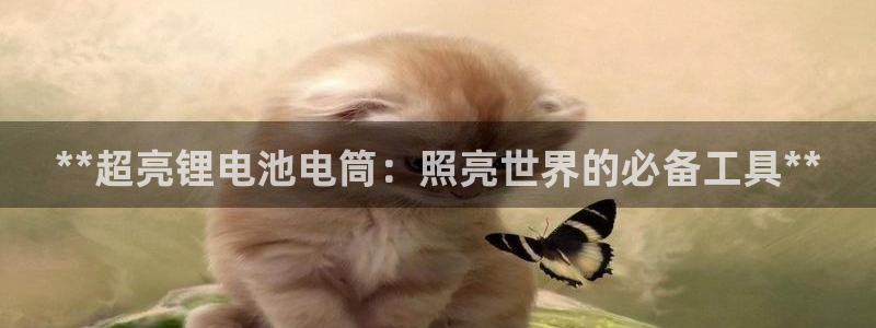 尊龙500价格