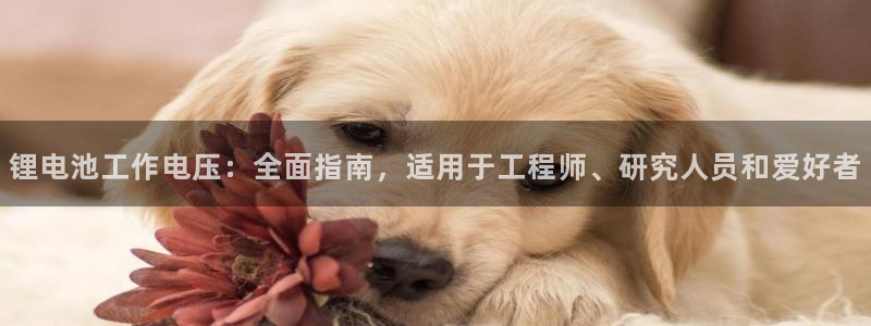 凯时kb88kb88