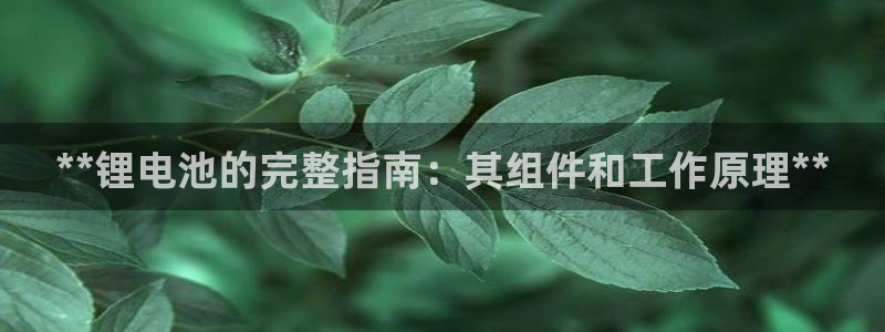 尊龙手机客户端app