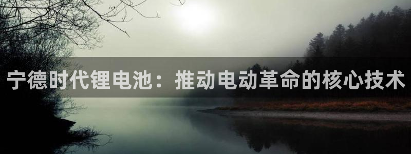 尊龙d88官网可靠送38元：宁德时代锂电池：推动电动革命的核心技术