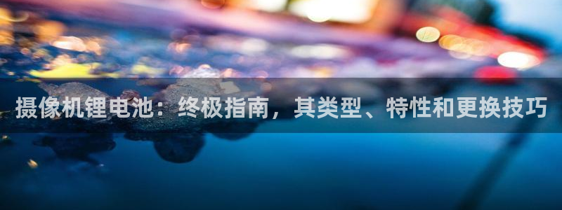 尊龙服饰有限公司地址