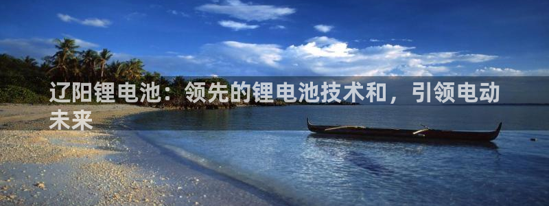 尊龙现金一下S选来就送38：辽阳锂电池：领先的锂电池技术和，引领电动
未来