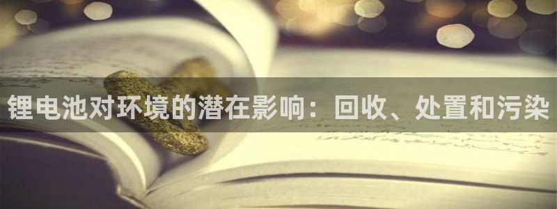 z6尊龙z6