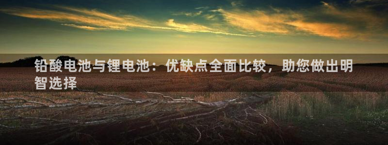 尊龙凯时官网