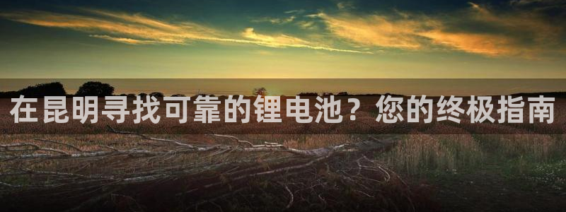 尊龙/人生就是博：在昆明寻找可靠的锂电池？您的终极指南