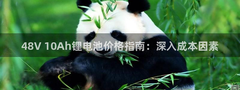 凯时最新官方APP下载