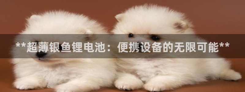 K66凯时国际平台官网