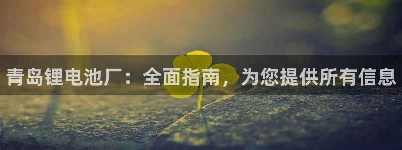 尊龙凯时平台入口