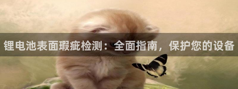 尊龙网站注册站注册