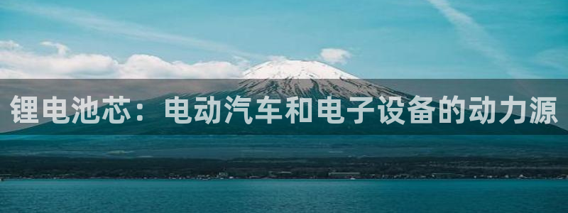 尊龙信息科技有限公司：锂电池芯：电动汽车和电子设备的动力源