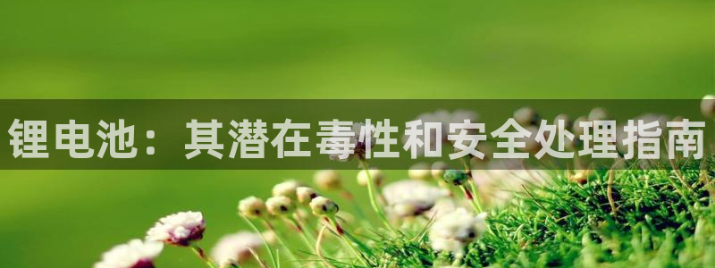 凯时a88：锂电池：其潜在毒性和安全处理指南