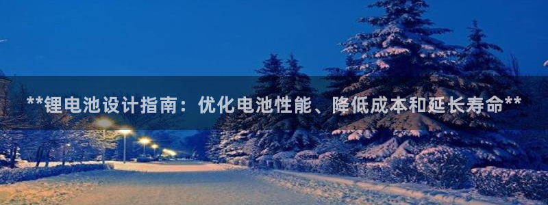 尊龙凯时始人生就是博：**锂电池设计指南
