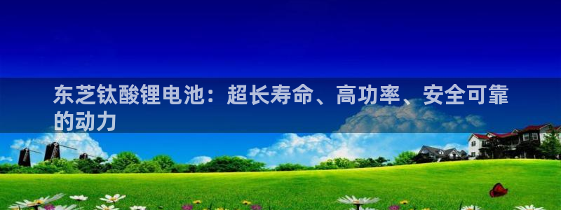 尊龙信息科技有限公司：东芝钛酸锂电池：超长寿命、高功率、安全可靠
的动力