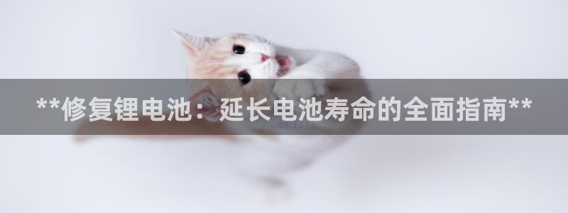 尊龙凯时平台官网：**修复锂电池：延长电