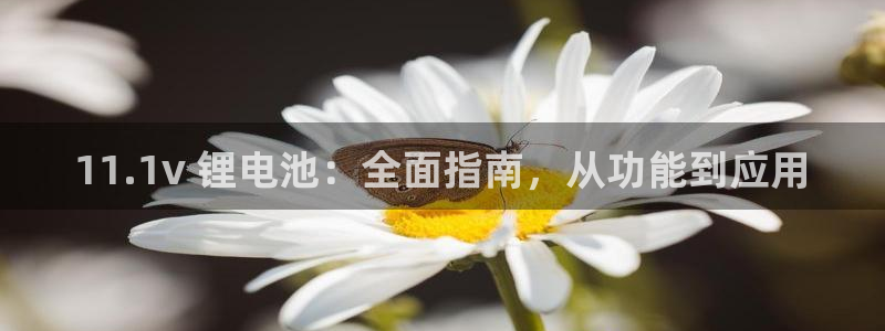 凯时国际app首页下载