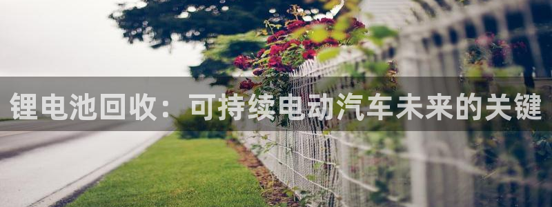 尊龙公司：锂电池回收：可持续电动汽车未来的关键