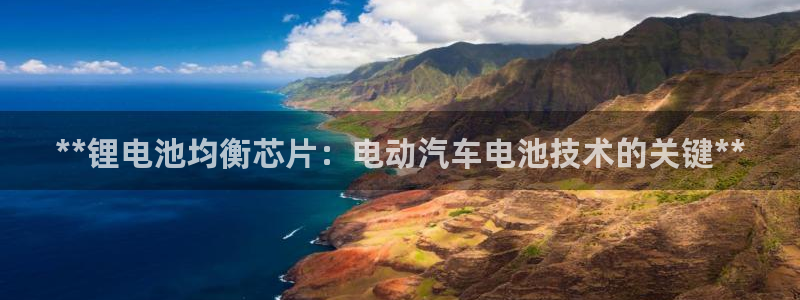 尊龙d88官网登录：**锂电池均衡芯片：电动汽车电池技术的关键**